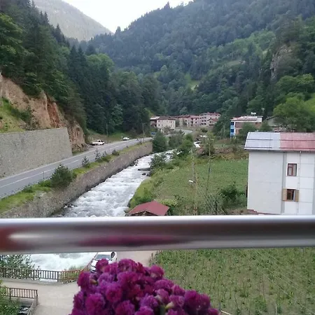 Oezen Golden Apart * Uzungol