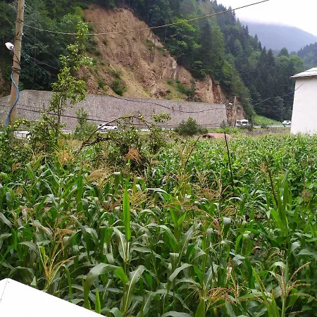 Oezen Golden Apart Aparthotel Uzungol